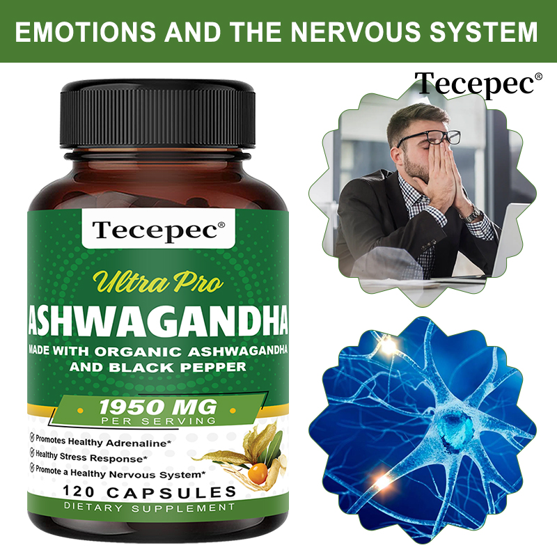 Ashwagandha Extract Root - Cápsulas de Extracto de Raíz de